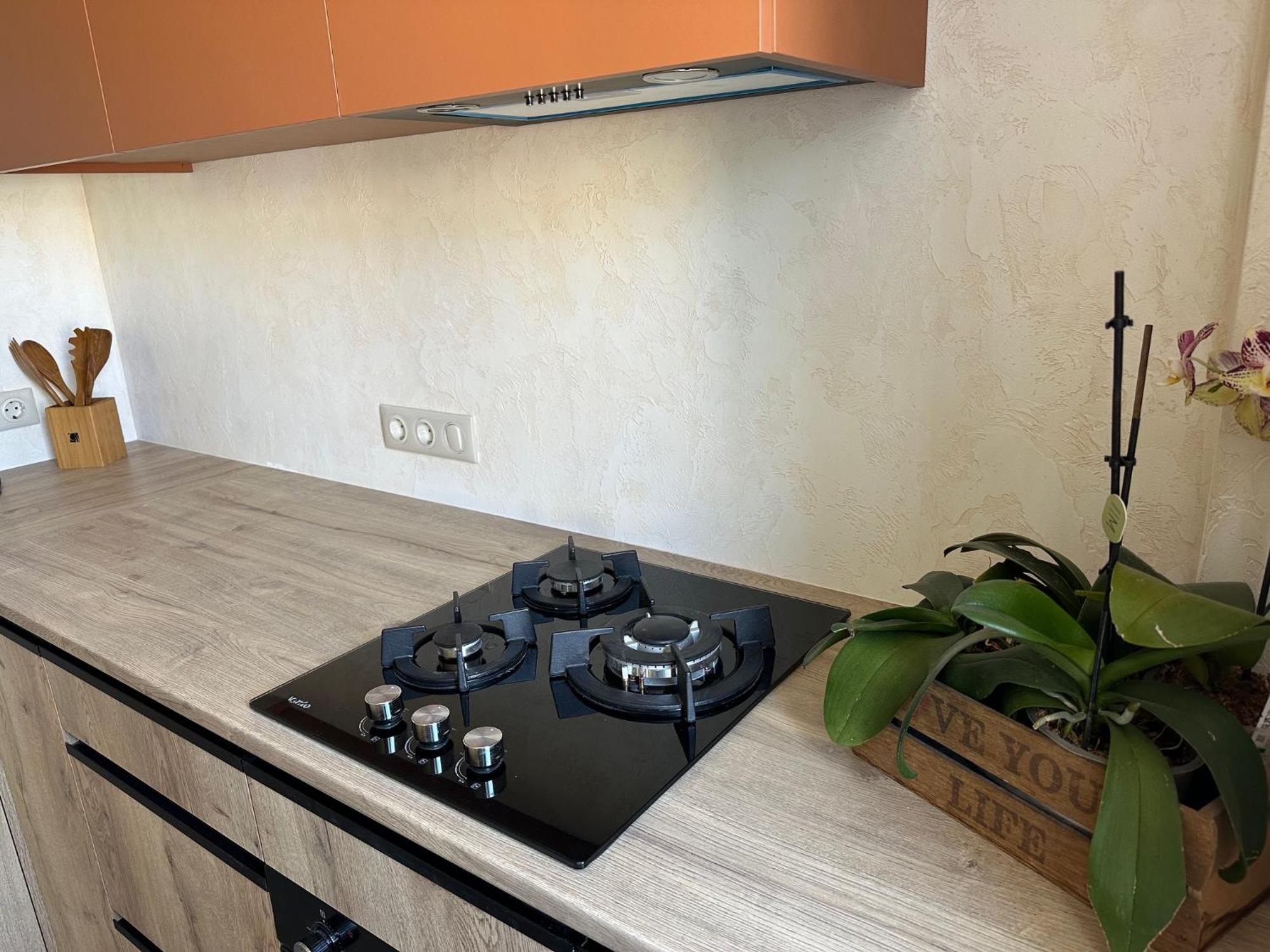 Apartamento Terracotta Kremenchuk Exterior foto
